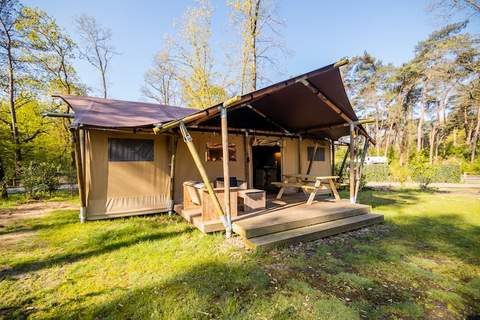 6 persoons Luxe Safaritent - Ferienunterkunft in Markelo (6 Personen)