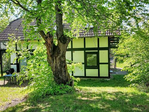 Ferienhaus Sternberg 225/227 Ganzes Haus