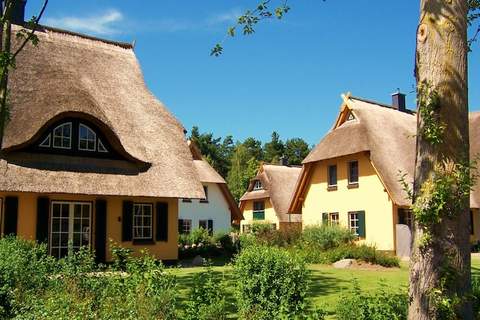 Ferienhaus Küstenwald klein - Strandhotel Fischland - Ferienunterkunft in Dierhagen (6 Personen)
