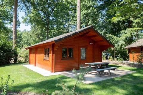 Resort De Utrechtse Heuvelrug 5 - Ferienunterkunft in Maarn (4 Personen)
