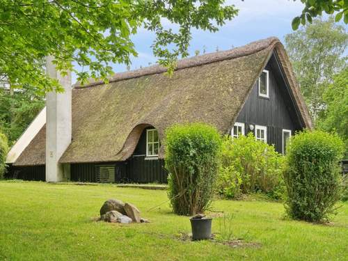 Ferienhaus Svenne - 1.4km from the sea