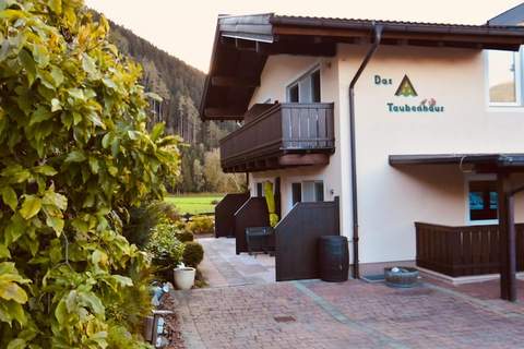 Apartment 2 mit Balkon /Hollersbach - Ferienunterkunft in Hollersbach im Pinzgau (4 Personen)