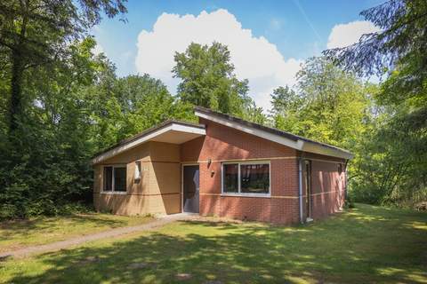 Vakantiepark de Berkenhorst 8 - Ferienunterkunft in Kootwijk (6 Personen)
