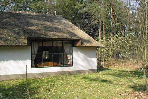 Vakantiepark Herperduin 4 - Ferienunterkunft in Herpen (4 Personen)