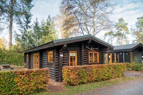 Resort De Wije Werelt 5 - Ferienunterkunft in Otterlo (5 Personen)