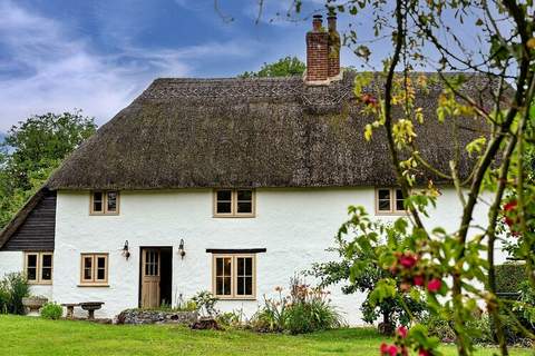 The Thatch at Winterborne Houghton - Ferienunterkunft in Winterborne Houghton (6 Personen)