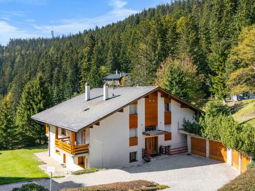 Ferienwohnung, Chalet Faucon 1B