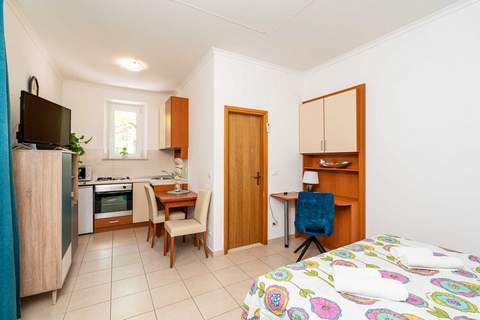 Apartments and Room Frane- Standard Studio with Terrace - Ferienunterkunft in Dubrovnik (2 Personen)