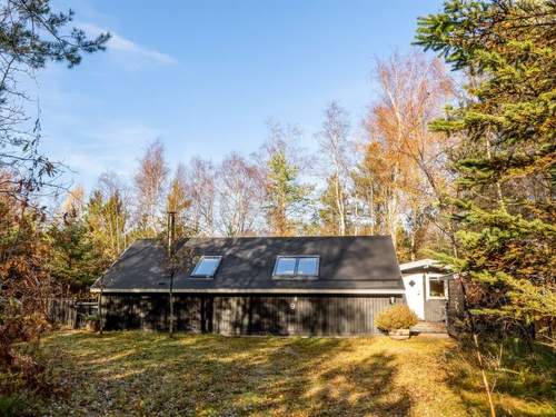 Ferienhaus Else - 470m from the sea