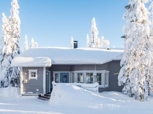 Ferienhaus Vuosselinhovi c