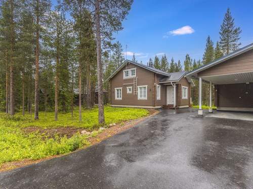 Ferienhaus Levi kartano