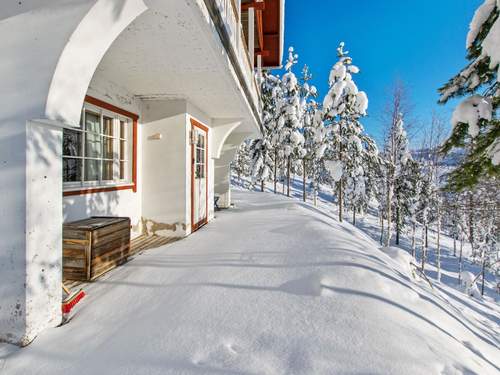 Ferienhaus Alppikylä 13b paritalo