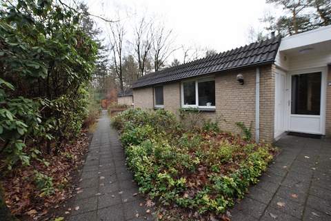 Bungalow Bosrijk - Ferienunterkunft in Lochem (9 Personen)