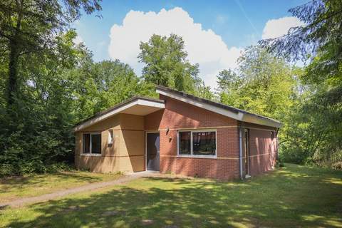 Vakantiepark de Berkenhorst 12 - Ferienunterkunft in Kootwijk (6 Personen)