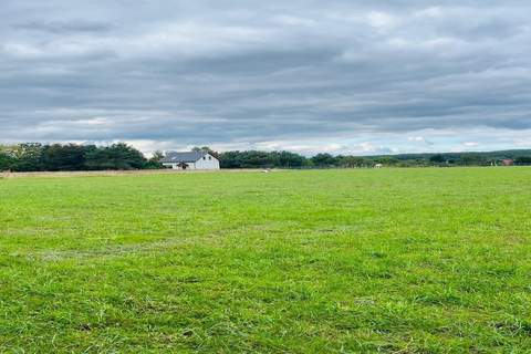 Green Hill Domysłów - Ferienunterkunft in Kołczewo (6 Personen)