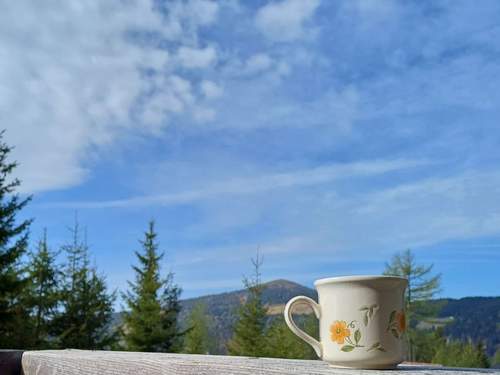 Ferienhaus Gemütliche Almhütte direkt im Skigebiet