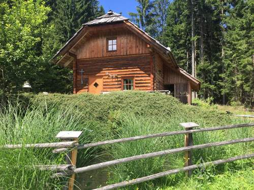 Ferienhaus Silbertannenhütte