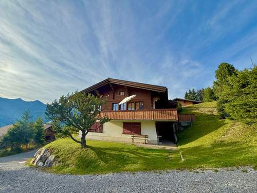 Ferienhaus Chalet Bärgblüemli