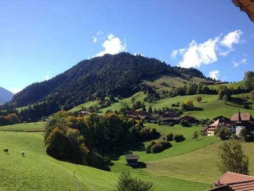 Ferienwohnung Chalet Ried