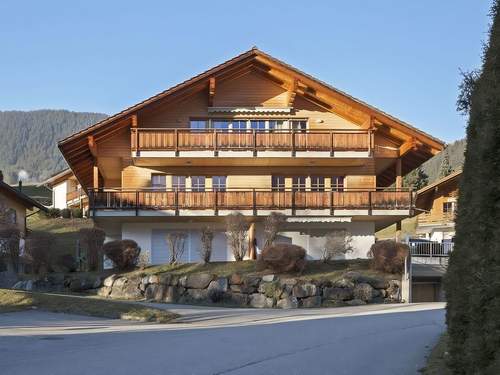 Ferienwohnung Chalet Steinbillen