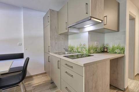 Cozy and Chic Apartment in Kranjska Gora - Studio Apartment - Ferienunterkunft in Kranjska Gora (3 Personen)