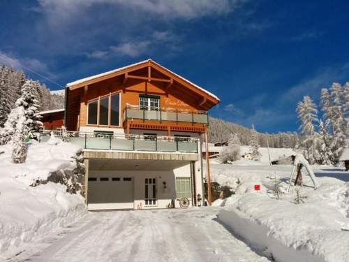 Ferienhaus Chalet-Davos