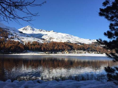 Ferienwohnung Chesa Arnica A5
