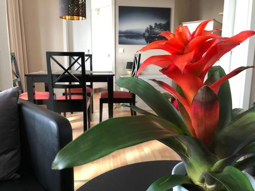 Ferienwohnung Dat Mitteltste 445