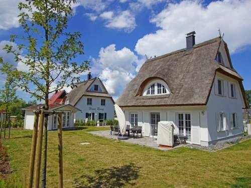 Ferienhaus Reet-Hus Hanbutt in Glowe