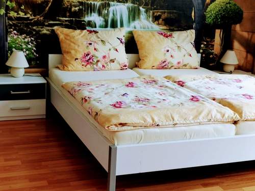 Ferienwohnung Am Birkenwäldchen