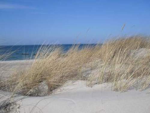 Ferienwohnung 1 Raum Graal-Müritz