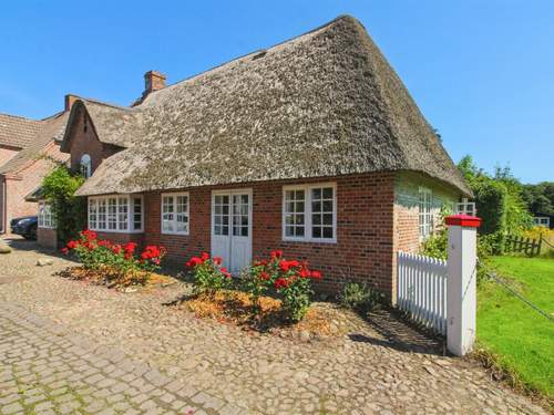 Ferienhaus Bedine - 10km from the sea