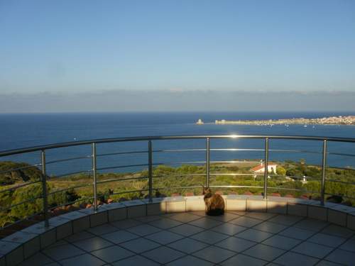 Ferienhaus Charly Point Villa