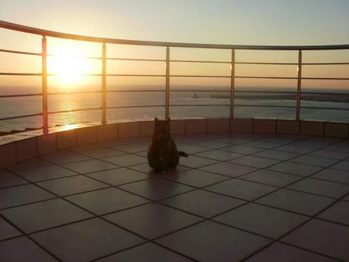 Ferienhaus Charly Point Villa