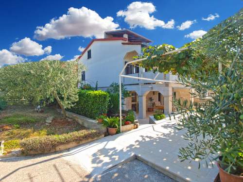 Ferienwohnung Apartment 1451