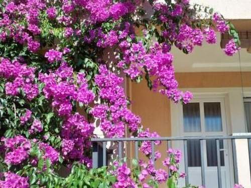 Ferienwohnung mit privater Terrasse