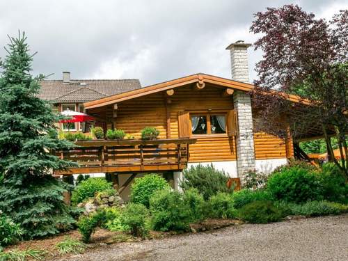 Ferienwohnung Tolles Appartement in Walkenried