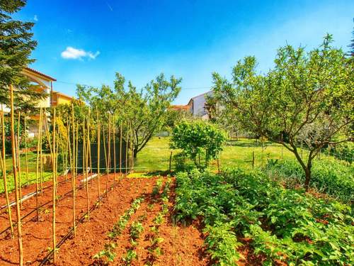 Ferienwohnung Apartment 1334