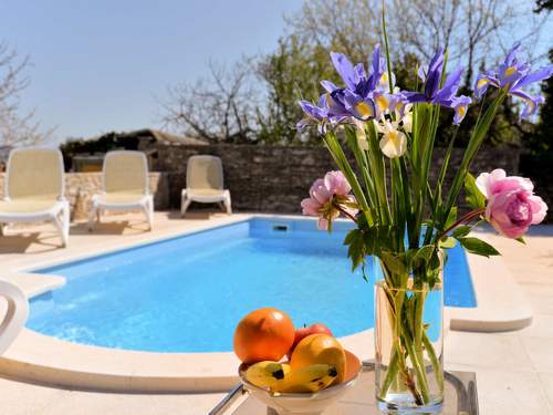 Ferienhaus House 1829