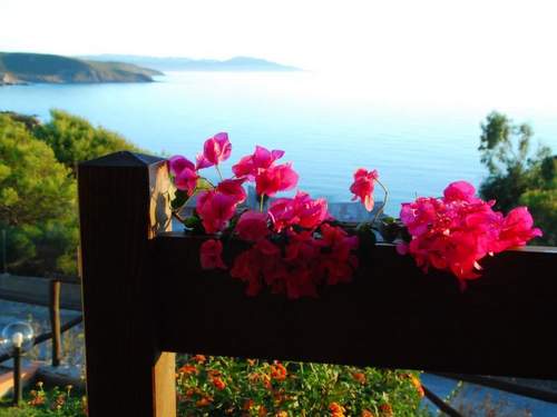 Ferienhaus mit Wasserblick