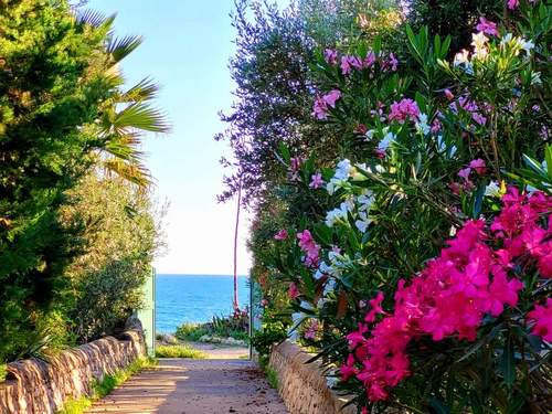 Ferienhaus Kleines ruhiges Ferienhaus direkt am Meer