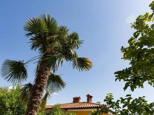 Ferienwohnung Wohnung in Lucija mit Garten