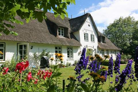 Ferienunterkunft in Uelvesbüll (4 Personen)