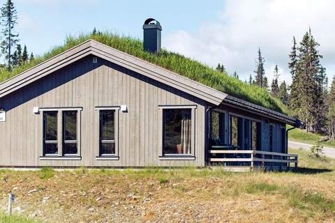 Ferienunterkunft in Fåvang (10 Personen)