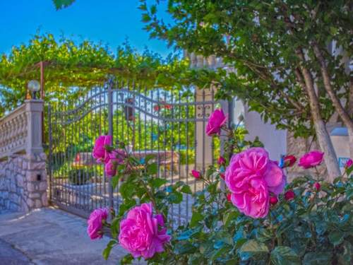 Ferienwohnung MILETIC prizemlje 2 / HR-10011-05