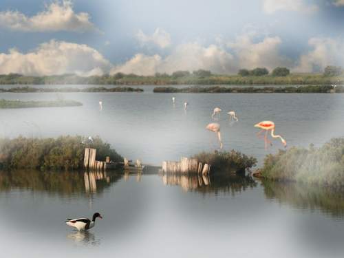 Ferienhaus Eckhaus in Lido Di Volano, großer Innenhof, Grillplatz