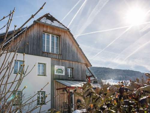 Ferienhaus für 8 Personen ca. 80 m&sup2; in Sankt Lorenzen ob Murau, Steiermark (Obersteie