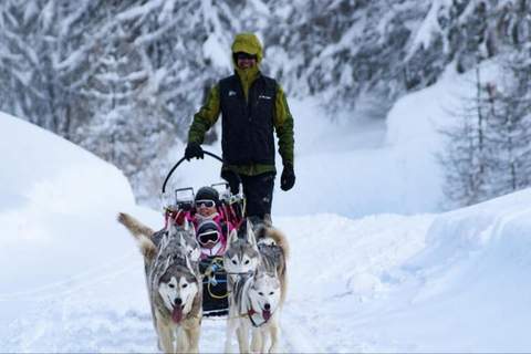 Résidence La Piloselle - Ferienunterkunft in Vars (6 Personen)
