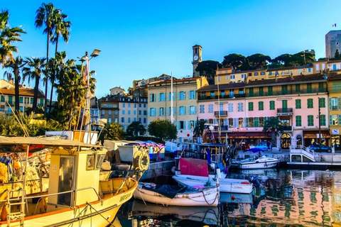 Résidence Charmant Studio Cannes Centre Idéal Congrès Et Vacances ❤live In Gazagnair❤ - Ferienunterkunft in Cannes (2 Personen)