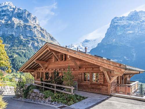 Ferienhaus, Chalet Chalet Andra